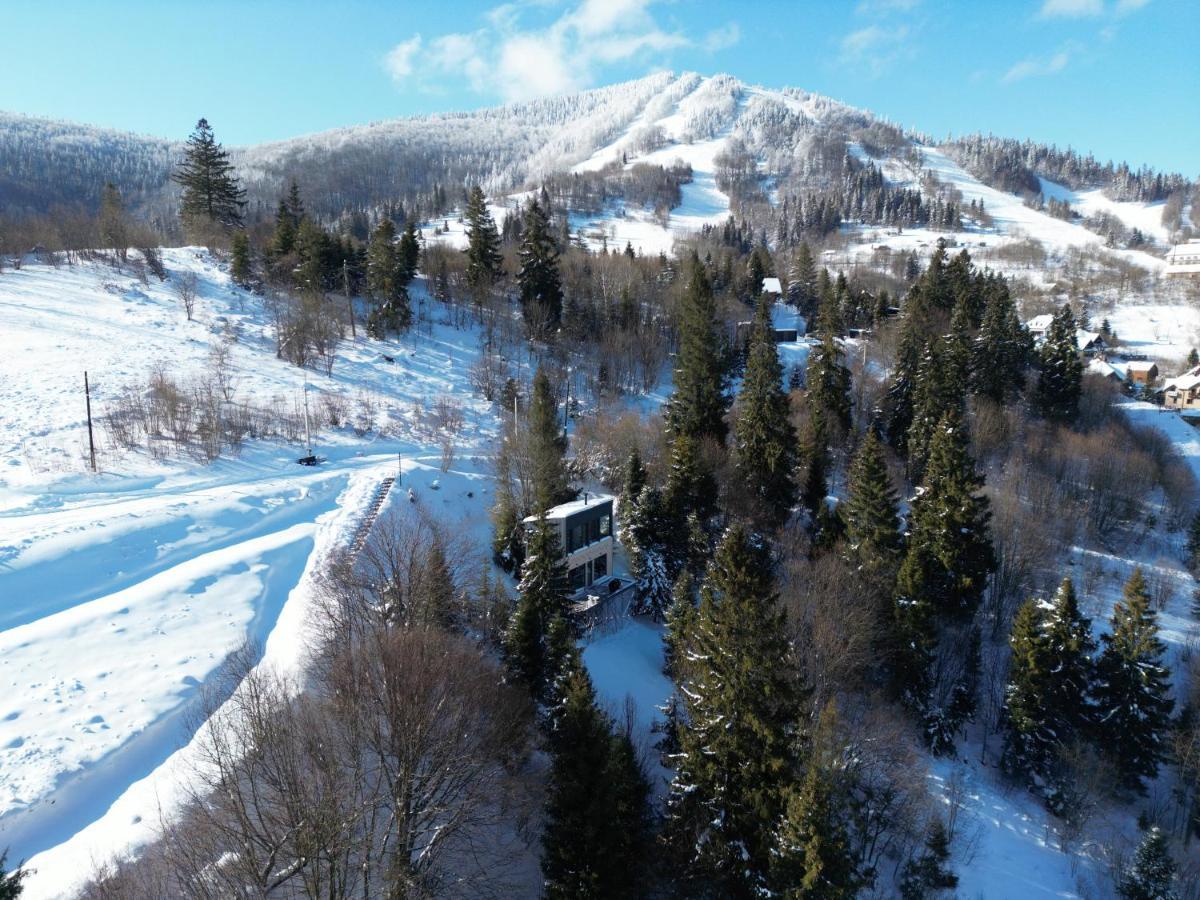 Forest Hub Slavske Dış mekan fotoğraf