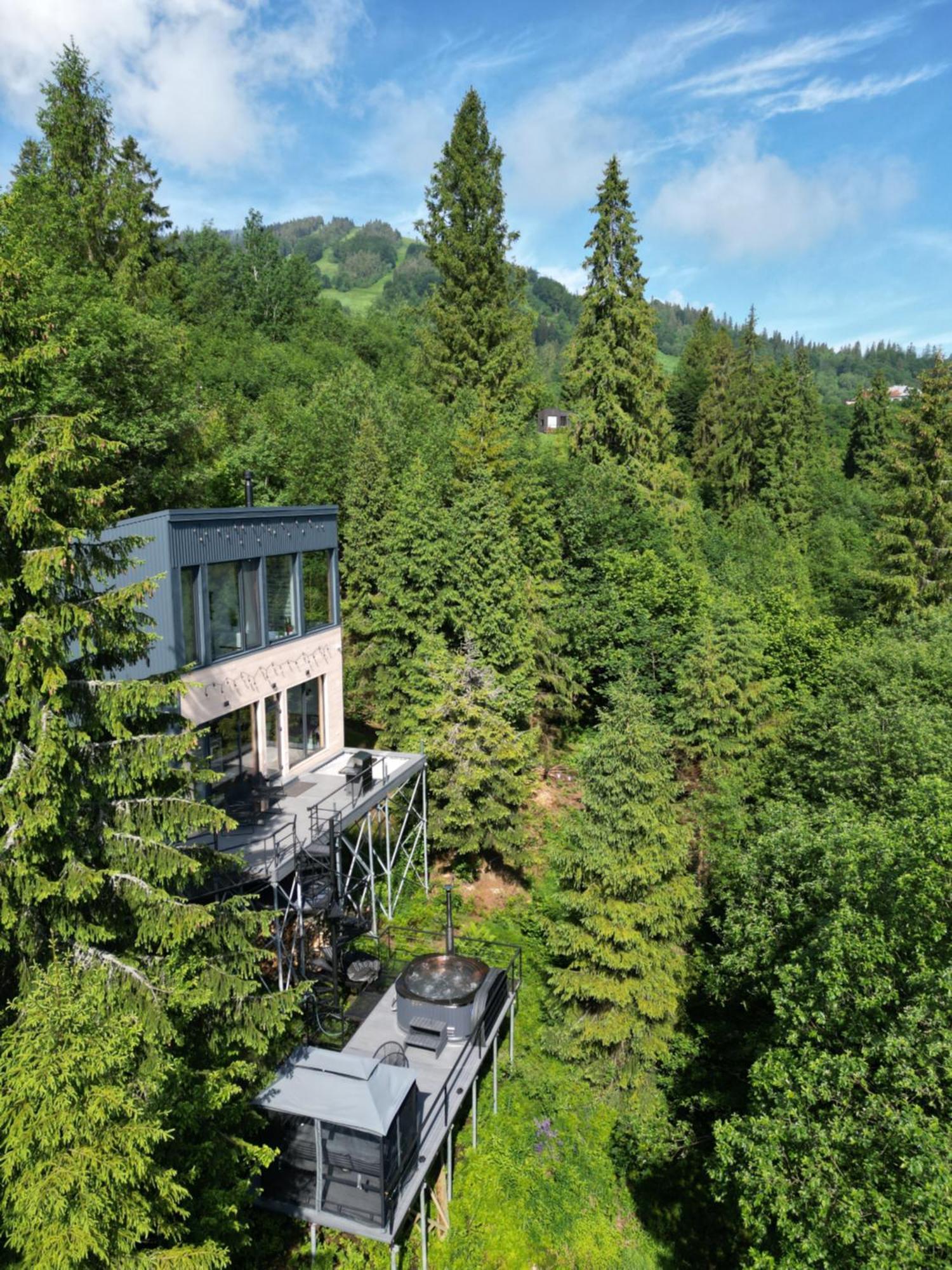 Forest Hub Slavske Dış mekan fotoğraf