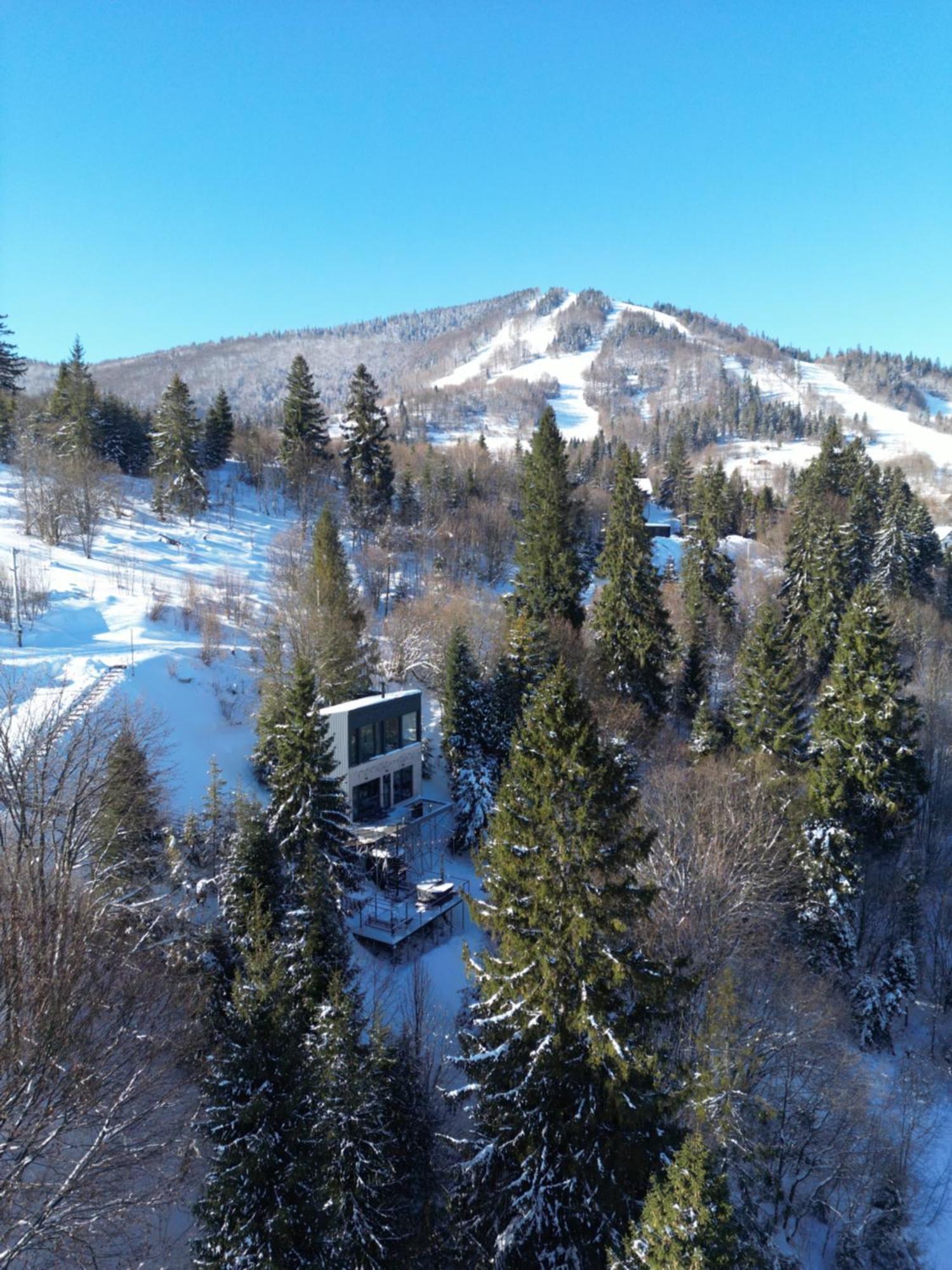 Forest Hub Villa Slavske Dış mekan fotoğraf