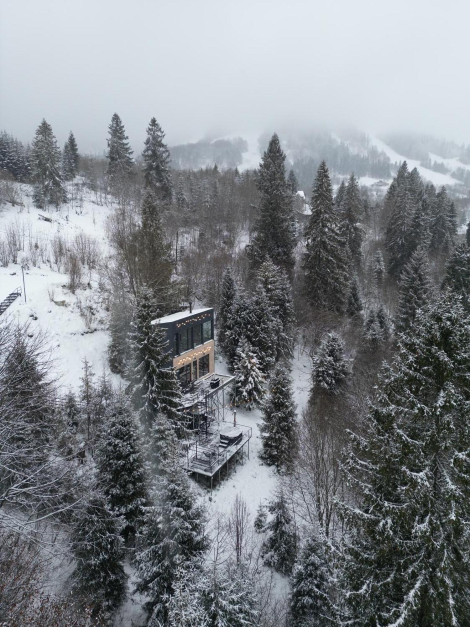 Forest Hub Villa Slavske Dış mekan fotoğraf