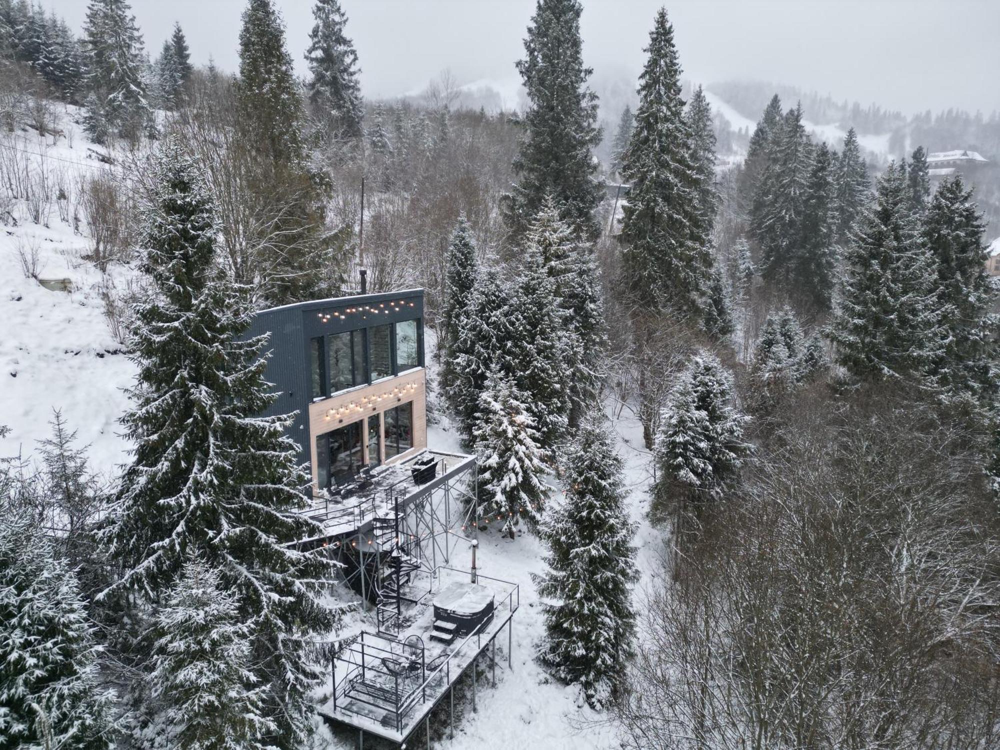 Forest Hub Villa Slavske Dış mekan fotoğraf