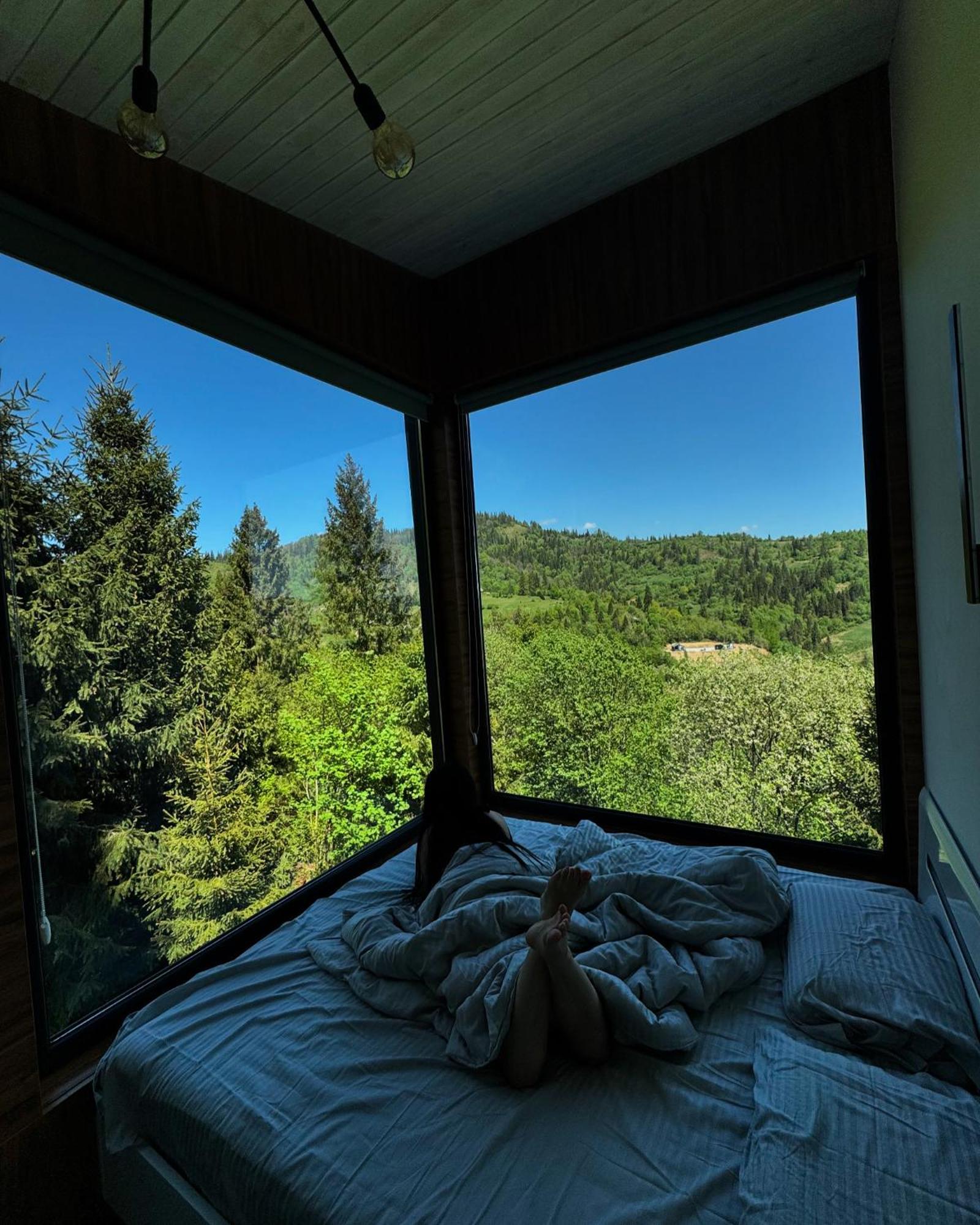 Forest Hub Slavske Dış mekan fotoğraf